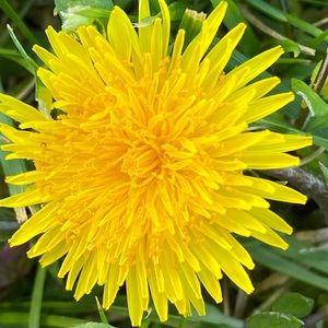 Meet your Posher, Huong